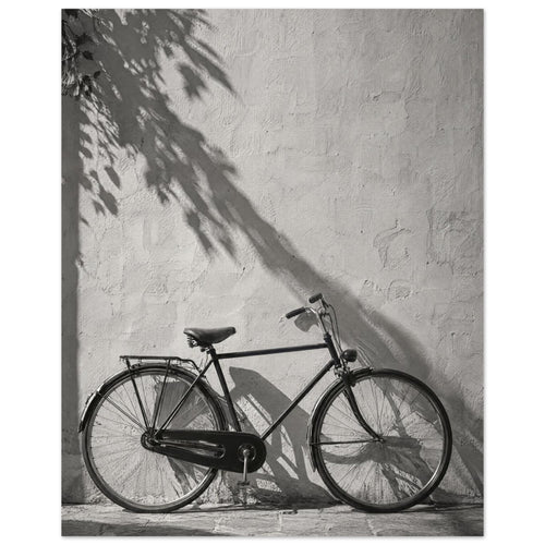 Bicycle leaning against a textured wall with long leafy shadows above and stone paving below, in black and white.