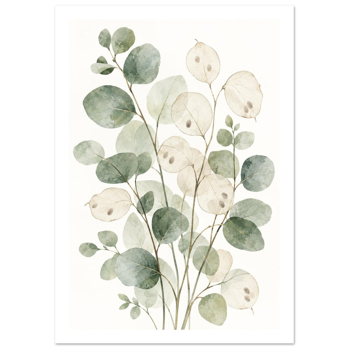 Eucalyptus branches with rounded sage green leaves and translucent cream honesty seed pods against a white background.