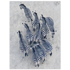 Zebra Herd Aerial Art Print