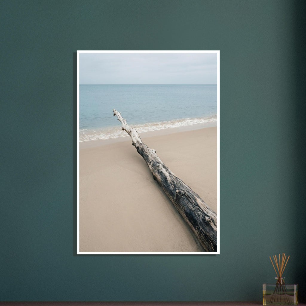 Weathered driftwood lying diagonally on beige sand beside gentle white surf, pale blue sea and an overcast sky.