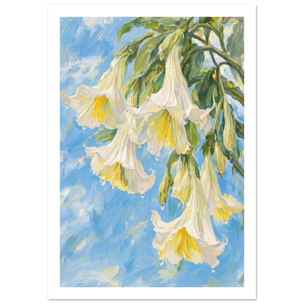 White trumpet-shaped flowers with yellow centres and droplets, surrounded by green leaves on a brushy blue background.