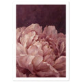 Blush pink peony with layered, curling petals and visible painterly brushwork against a deep burgundy background.