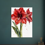 Watercolour painting of a red amaryllis in full bloom with green leaves