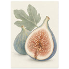 Halved fig with rust-coloured flesh beside a whole blue-green fig, beneath a green leaf on a cream background.