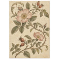 Pink wild roses and russet rosehips on curling stems with olive-green leaves against a mottled cream background.