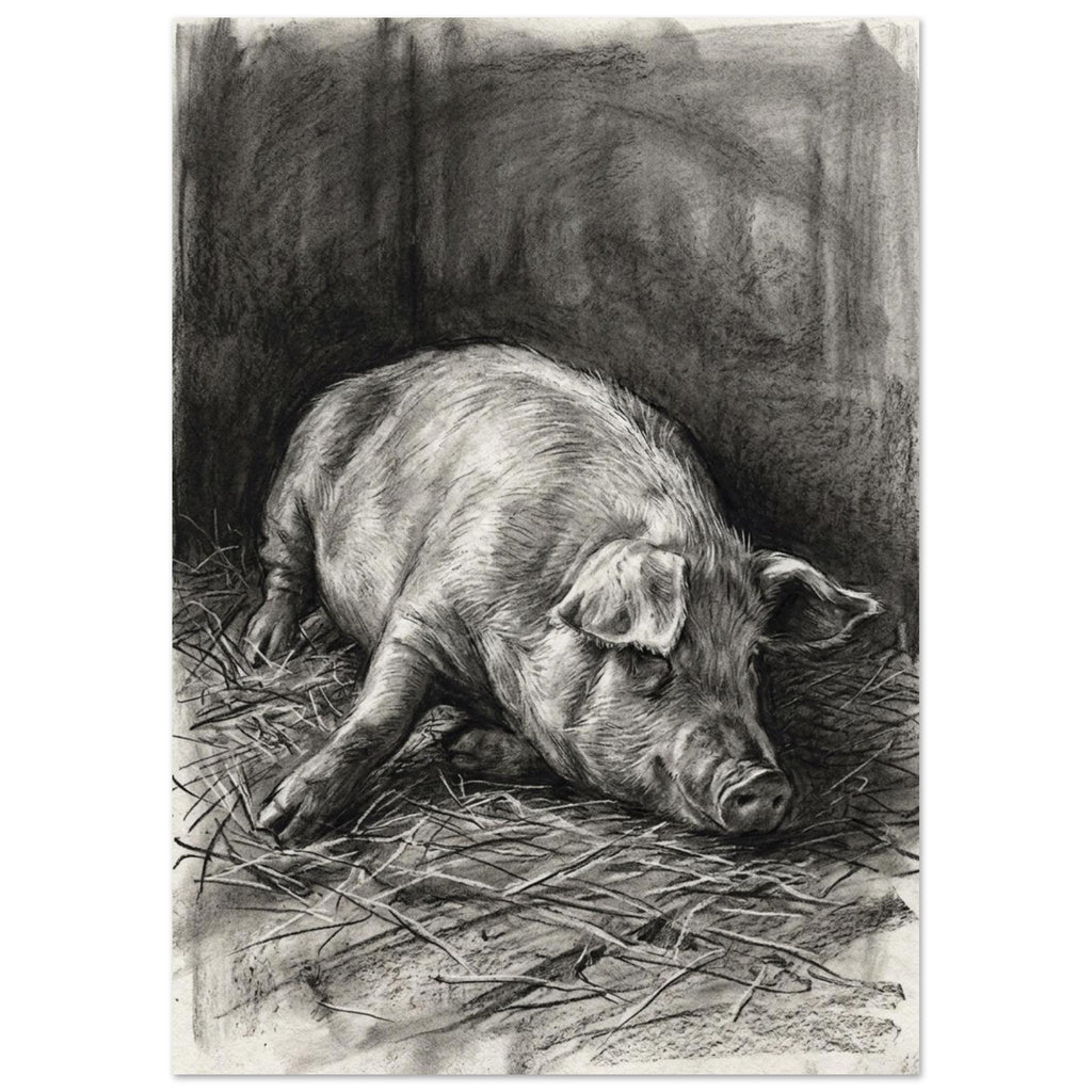 Pig resting on scattered straw, drawn with fine charcoal strokes and deep grey shading against a dark background.