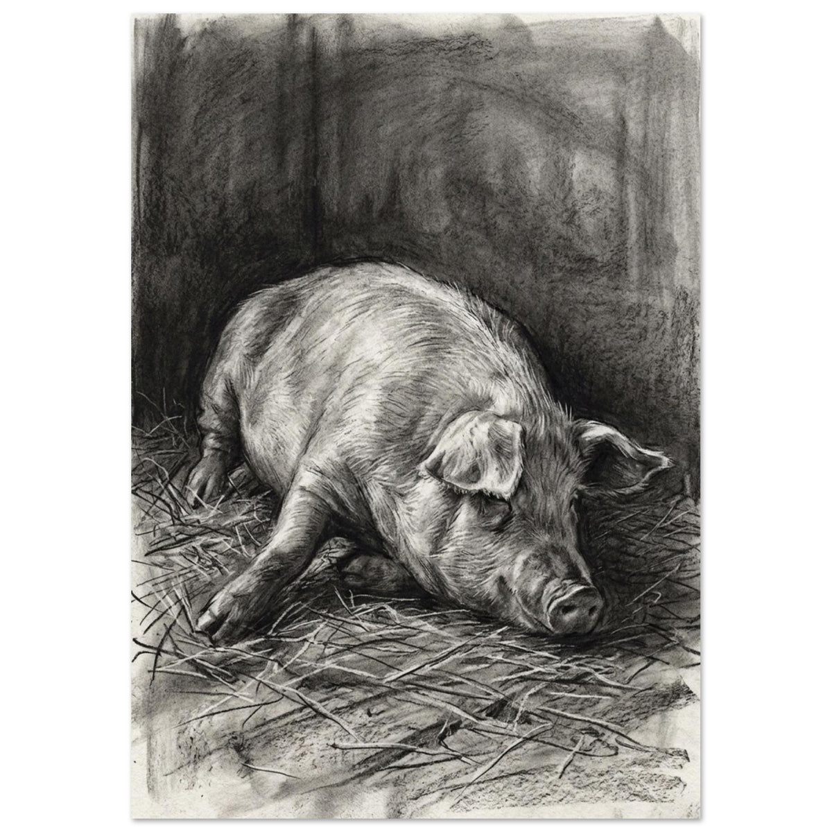 Pig resting on scattered straw, drawn with fine charcoal strokes and deep grey shading against a dark background.