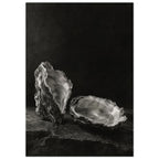Oyster Light, two open oyster shells on dark slate with pale interiors and sharply lit ridges beneath a broad area of shadow.