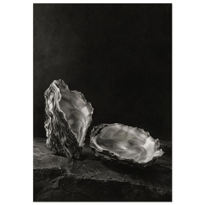 Oysters