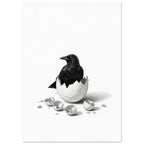 Quiet Raven Art Print