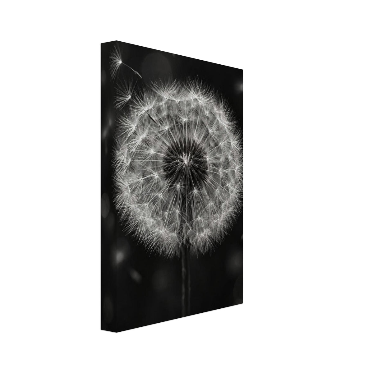 Original Abstract Composition in Soft Light III Art Print – Canvas