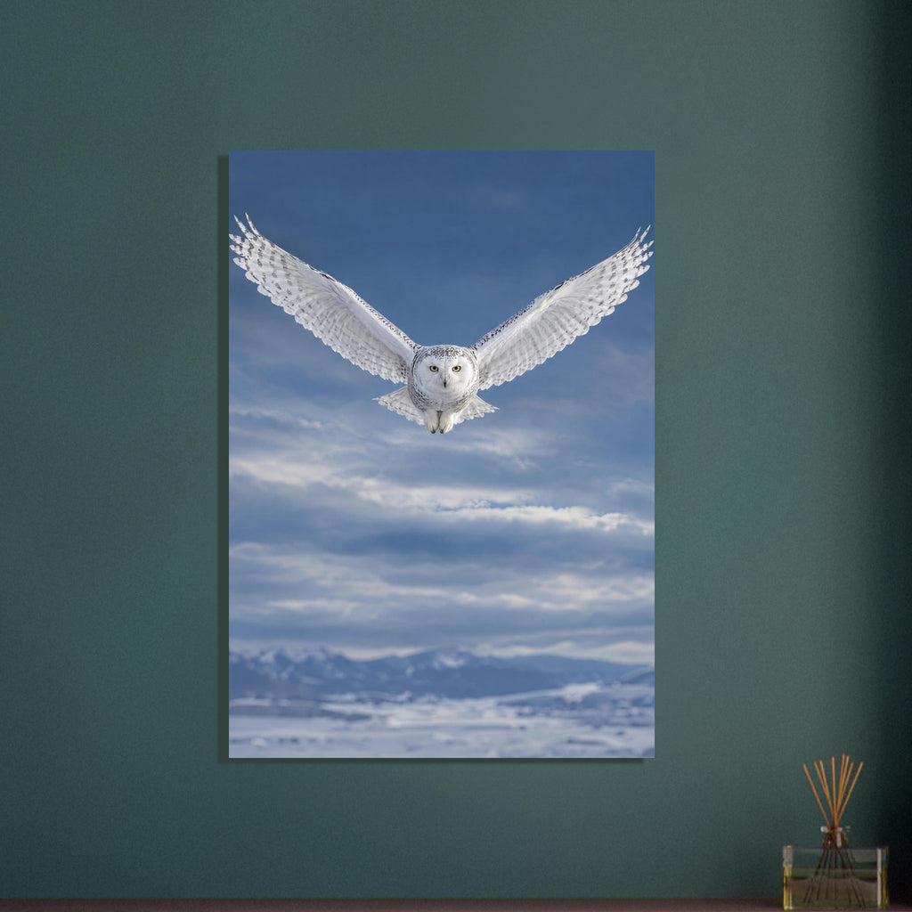 Snowy owl flying towards the viewer with wings spread against a blue, cloudy sky above snow-covered mountains.