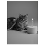 cat art print for the living room, soft painterly artwork on matte paper