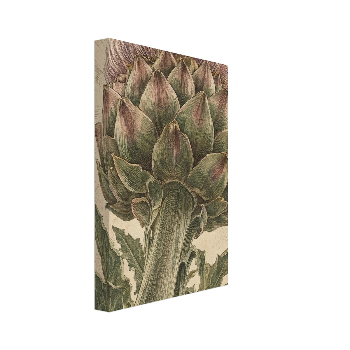 Flowering artichoke with green bracts, purple florets and jagged leaves on a textured beige background.