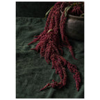 Burgundy Amaranth Still Life Art Print