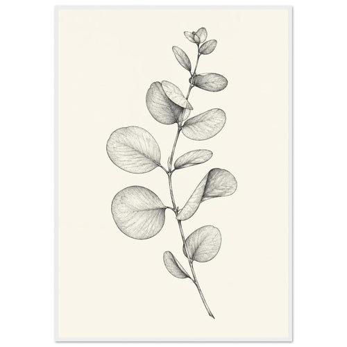 Eucalyptus stem with rounded, overlapping leaves drawn in fine black and grey lines on a plain cream background.