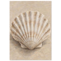 Fan-shaped scallop shell with cream ridges and brown shading on a softly textured beige background.