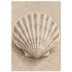 Fan-shaped scallop shell with cream ridges and brown shading on a softly textured beige background.
