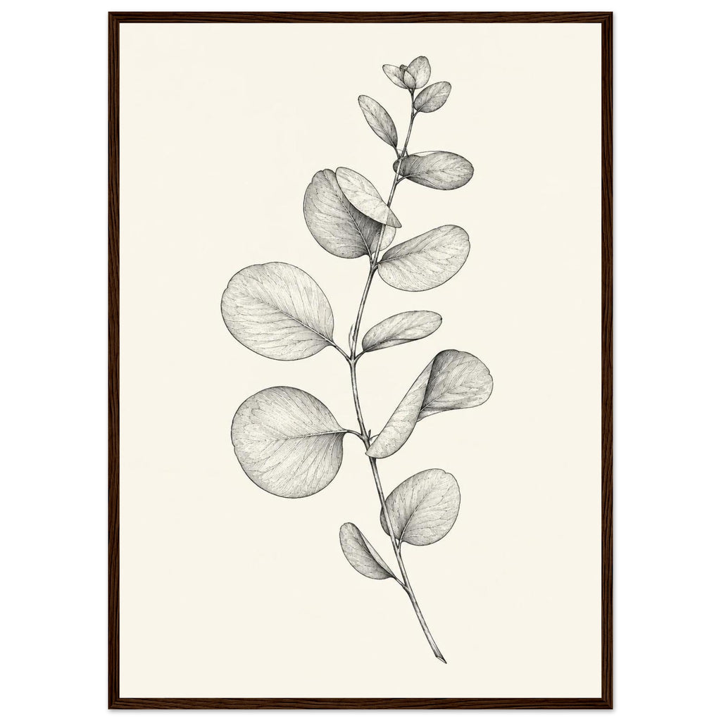 Eucalyptus stem with rounded leaves, fine veins and shaded folds drawn in black and grey on a cream background.