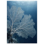 Pale sea fan coral branching across deep blue water above a rocky reef, with sunlight filtering through the surface.