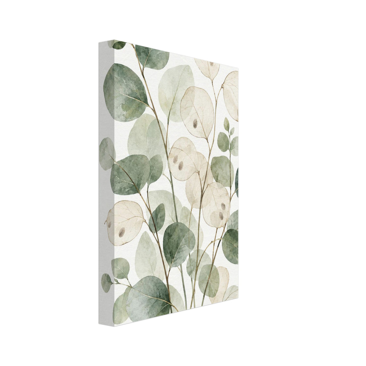 Eucalyptus branches with rounded sage green leaves and translucent cream honesty seed pods against a white background.