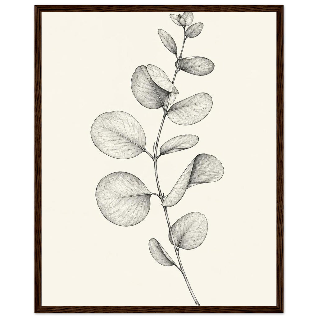Eucalyptus stem with rounded, overlapping leaves drawn in fine black and grey lines on a plain cream background.