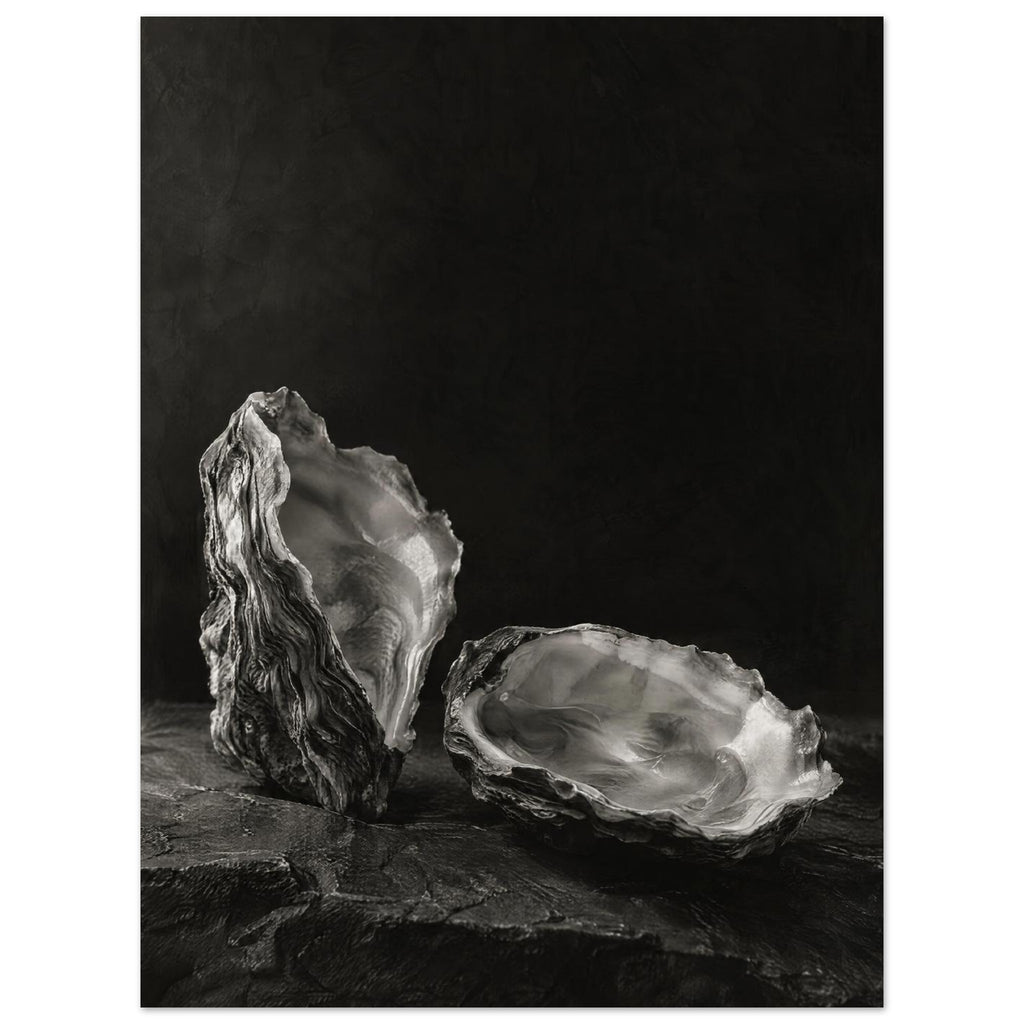 Oyster Light, two open oyster shells on dark slate with pale interiors and sharply lit ridges beneath a broad area of shadow.