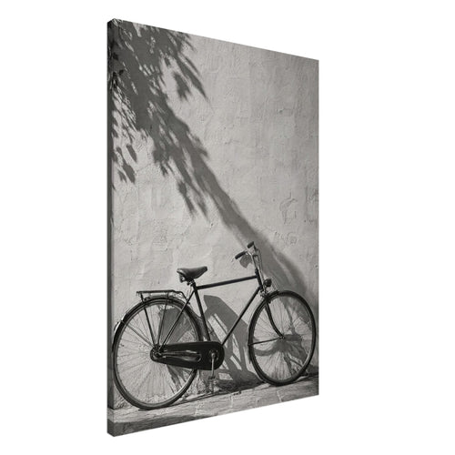 Bicycle leaning against a textured wall with long leafy shadows above and stone paving below, in black and white.