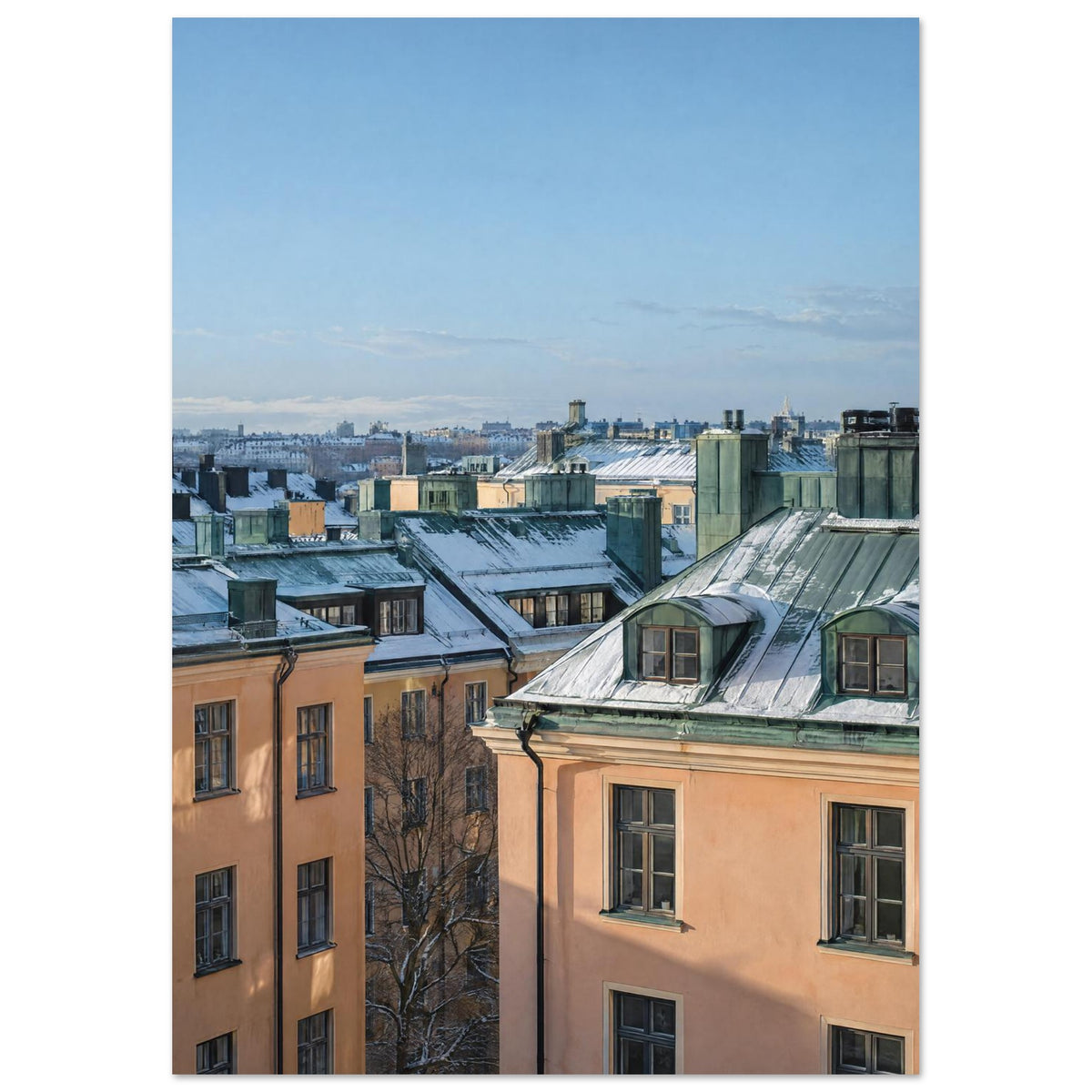 Snowy City Rooftops Photography Art Print