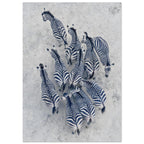 Zebra Herd Aerial Art Print