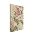 Pink sweet pea flowers with green leaves and curling tendrils, finely illustrated on a mottled cream background.