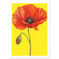 Red-orange poppy with finely lined petals, a green stem and drooping bud against a bright yellow background.