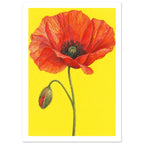 Red-orange poppy with finely lined petals, a green stem and drooping bud against a bright yellow background.