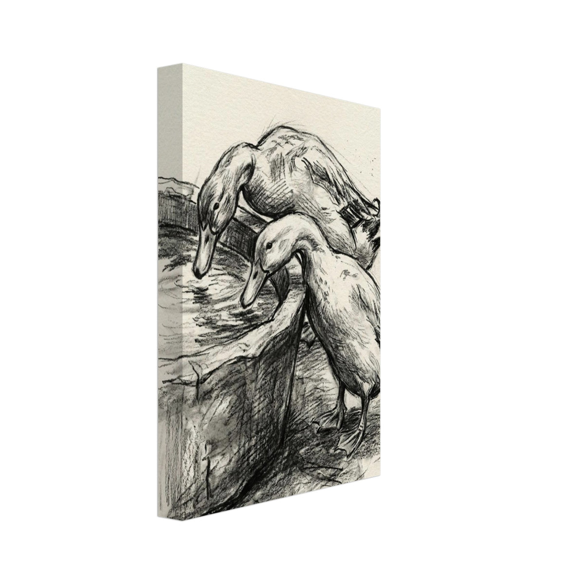 Two ducks leaning towards water in a rounded trough, drawn with dark sketch lines and shading on a cream background.