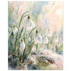 White snowdrops on curved green stems against loose watercolour washes of pale blue, pink and cream.