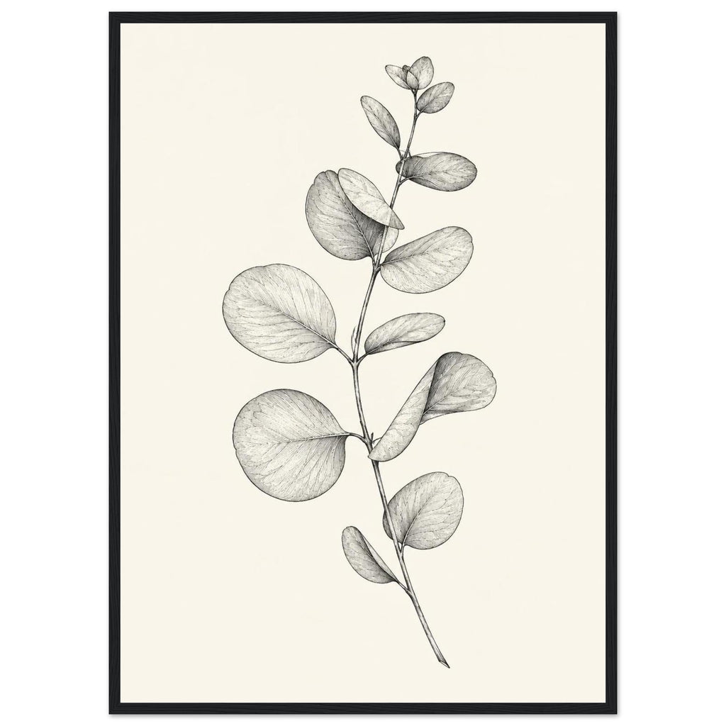 Eucalyptus stem with rounded leaves, fine veins and shaded folds drawn in black and grey on a cream background.