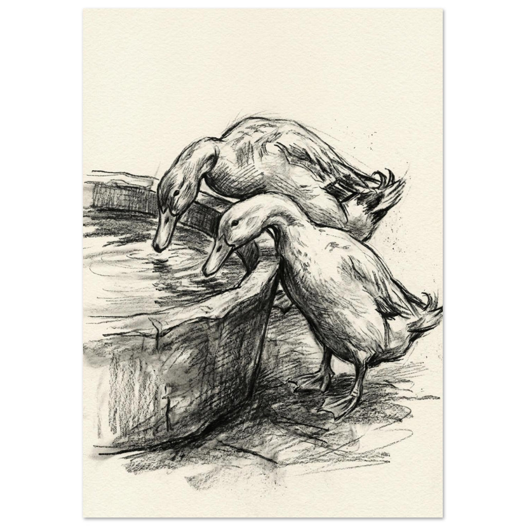 Two ducks lean over a wooden water trough, drawn with dark hatched strokes on a textured cream background.
