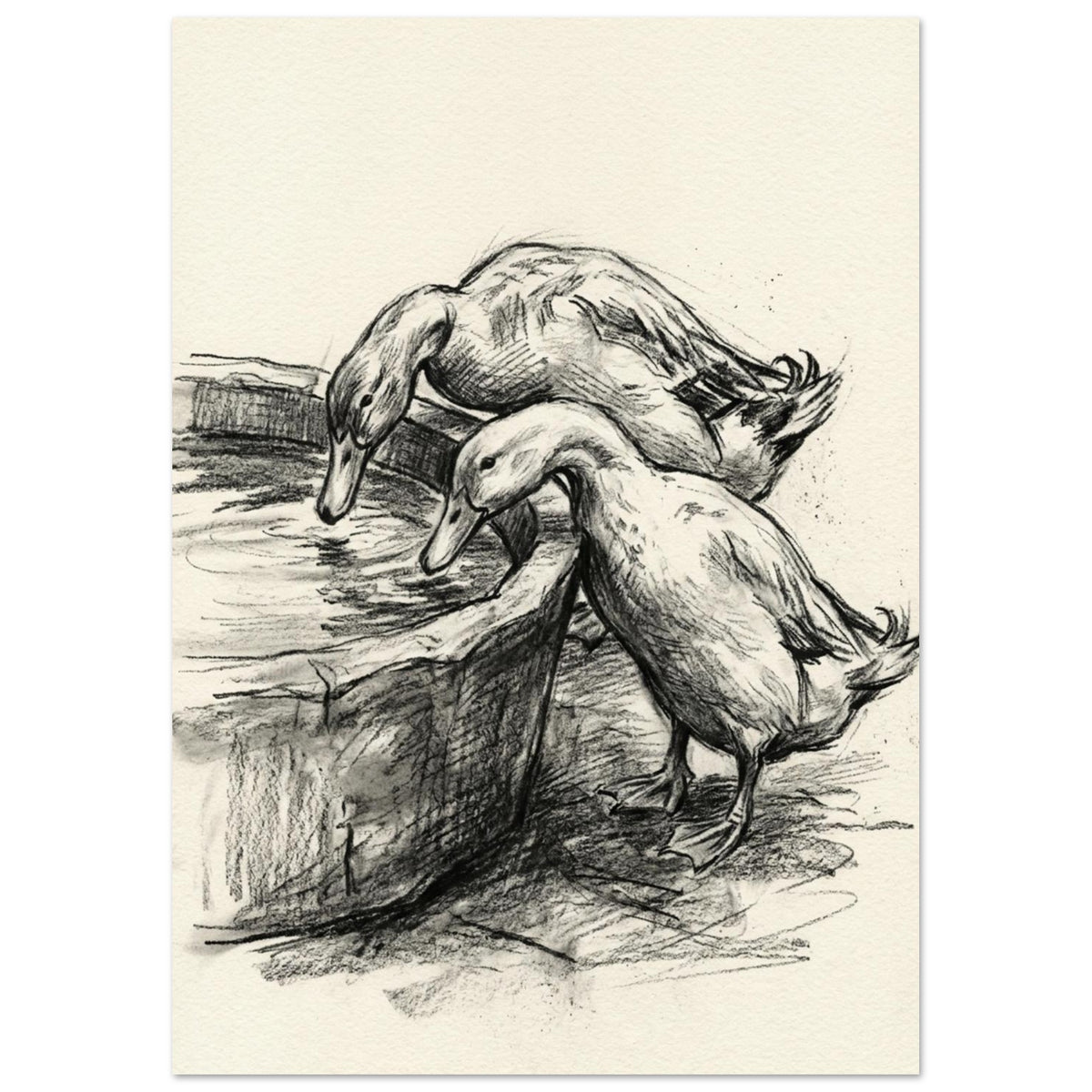 Two ducks lean over a wooden water trough, drawn with dark hatched strokes on a textured cream background.