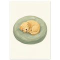 Sleeping Puppy On Cushion – illustration wall art print by Printavelle – close-up
