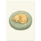 Sleeping Puppy On Cushion – illustration wall art print by Printavelle – close-up