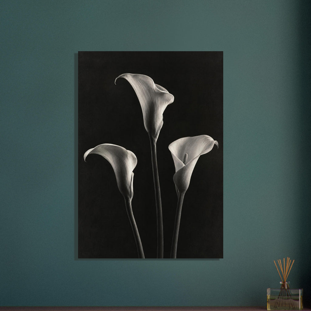 Calla Lily Trio Monochrome Photography – photography wall art print by Printavelle – close-up