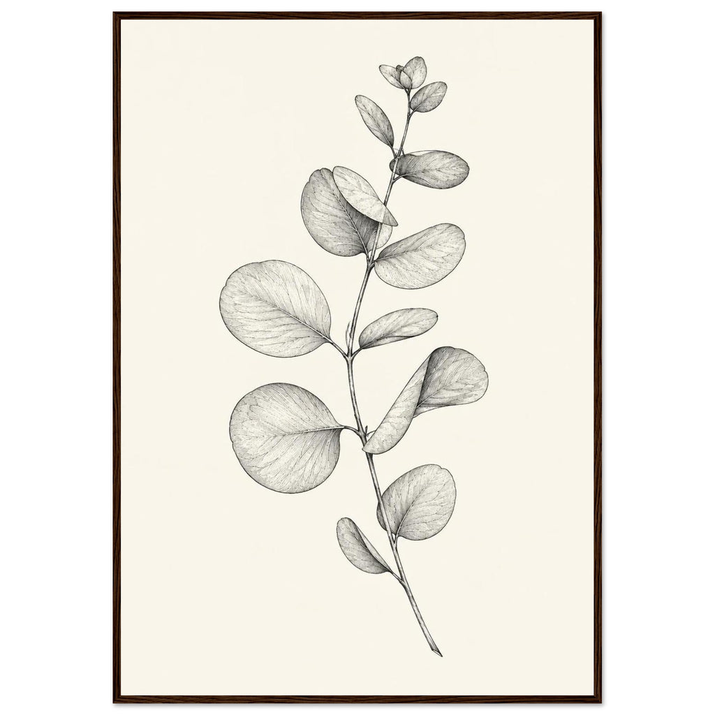 Eucalyptus stem with rounded leaves, fine veins and shaded folds drawn in black and grey on a cream background.