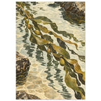 Olive and ochre kelp fronds stretch diagonally across pale rippling water between textured rocks.