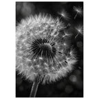 Original Abstract Composition Study Fine Art Print