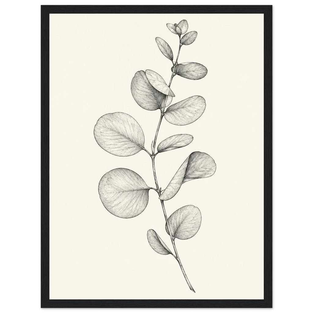 Eucalyptus stem with rounded leaves, fine veins and shaded folds drawn in black and grey on a cream background.