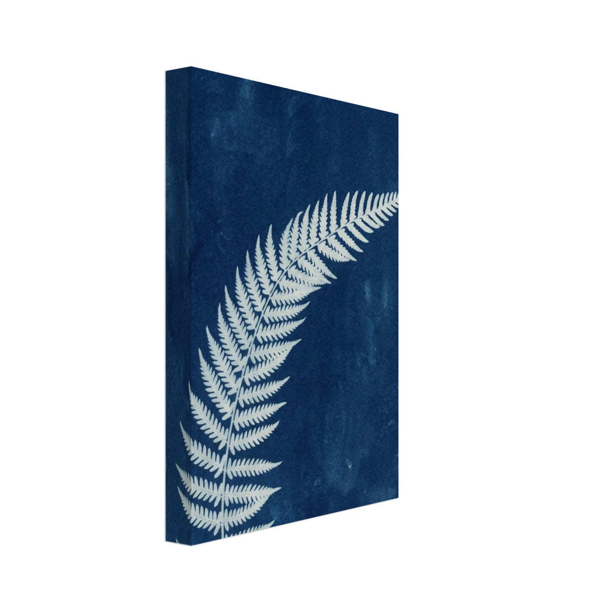 Pale fern frond curving diagonally across a textured deep blue background with a narrow off-white border.