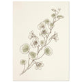 Nasturtium stems with rounded pale green leaves and delicate flowers, drawn in fine brown lines on a cream background.