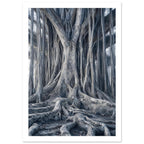Banyan tree with intertwined trunks, hanging aerial roots and thick spreading roots in muted blue-grey tones.