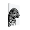 Leopard in right-facing profile, with a detailed spotted coat and long whiskers against a plain white background.