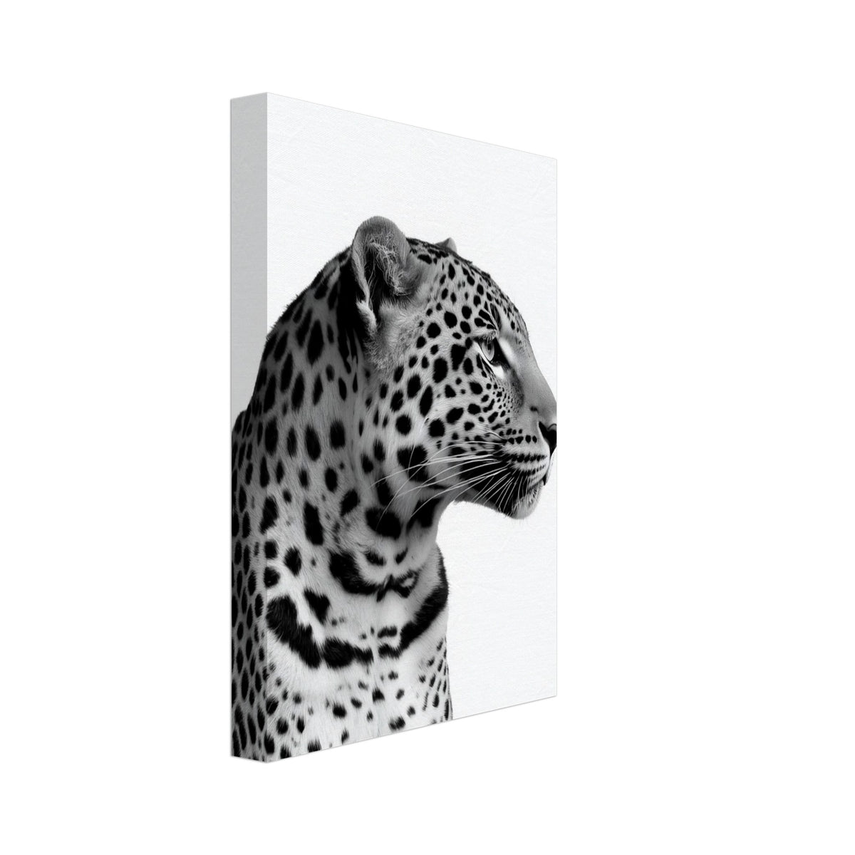 Leopard in right-facing profile, with a detailed spotted coat and long whiskers against a plain white background.